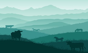Cow and horse silhouette vector